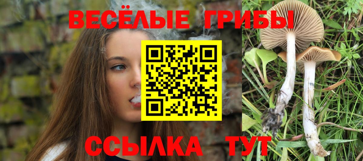  COCAIN Гуково